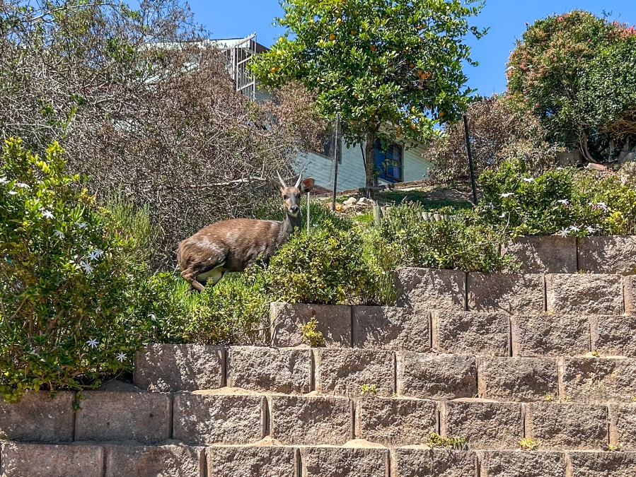 3 Bedroom Property for Sale in Brenton On Lake Western Cape